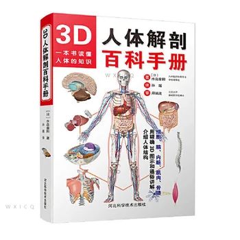 3D Энциклопедия анатомии человека Цветной атлас Книги по анатомии человека Книги для взрослых Управление здоровьем Знания о человеческом теле