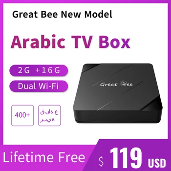 Great Bee Новый Бесплатный для жизни Арабский ТВ-бокс, Greatbee 2 ГБ + 16 ГБ 2,4 Г и 5,0 Г Двойной Wi-Fi Арабский Медиаплеер 4K Smart Set Top Boxes