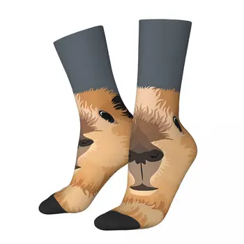 Сумасшедший носок для мужчин, морская свинка, селфи с арахисом, винтажная Капибара, милые животные, дышащий носок с принтом, бесшовный подарок